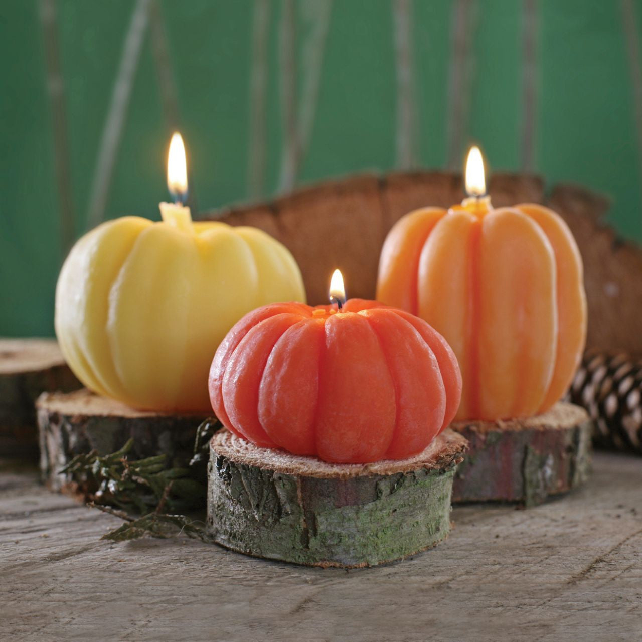 Big Dipper Wax Works Beeswax Pumpkin Candles